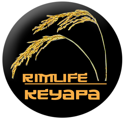 keyapa.com