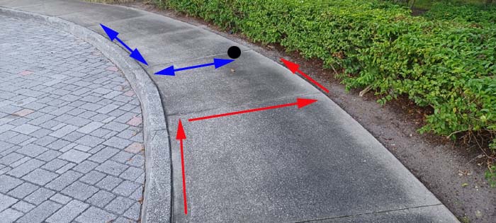 Red lines indicate movement of Solenopsis invicta between the concrete blocks. Blue lines indicate Pheidole megacephala ants, and the black circle indicates where I found some interactions between the two groups. 