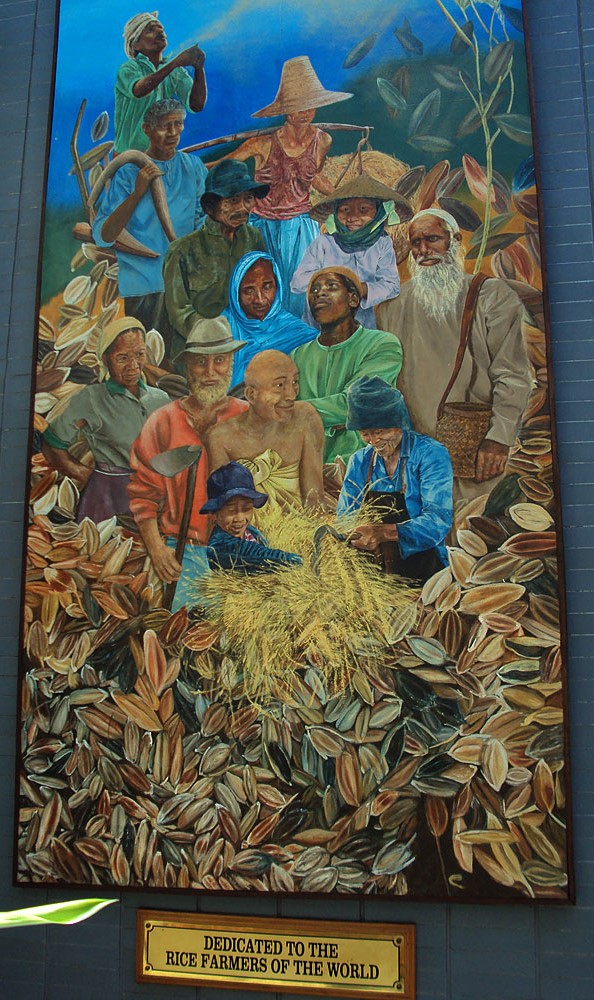 Painting dedicated to the rice farers of the world, at IRRI Rice Museum, Laguna, Philippines.