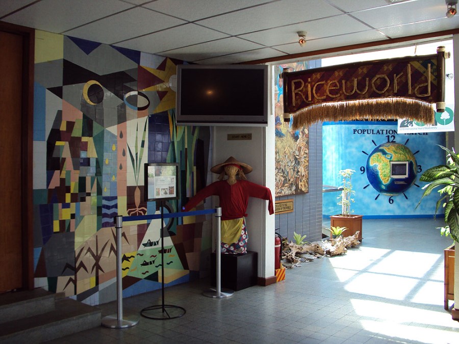 Riceworld Museum at IRRI campus in Laguna, Philippines.