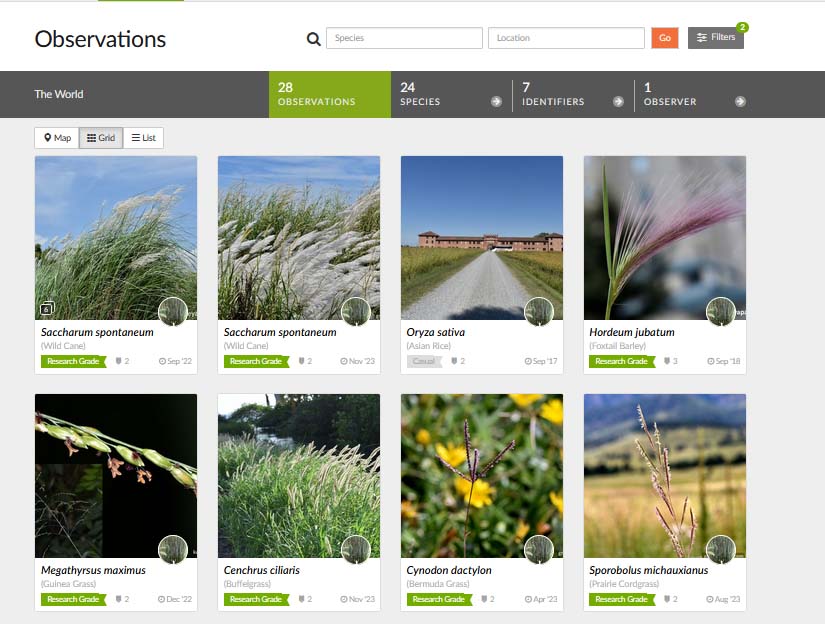 iNatting on iNaturalist: The Pluses and Minuses