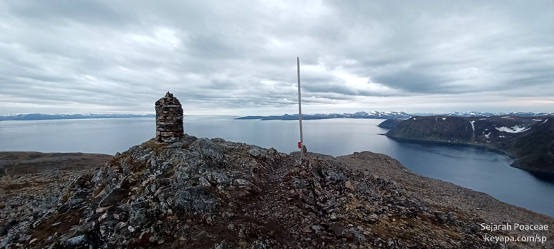 The peak of Storfjellet.
