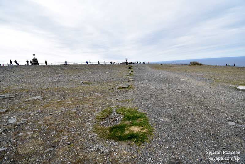 Grass islands in a barren landscape in Nordkapp (North Cape).