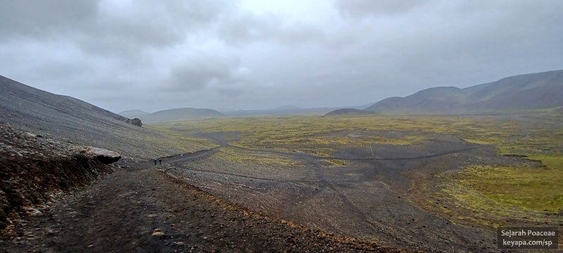 Typical scenery outside Grindavik.