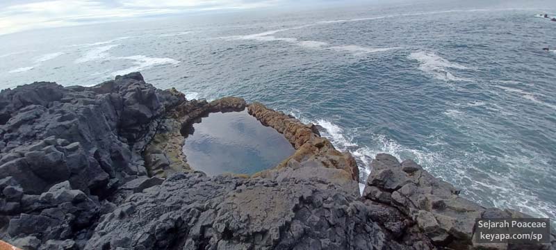 The small pool Brimketill in the lava shore west of Grindavik.