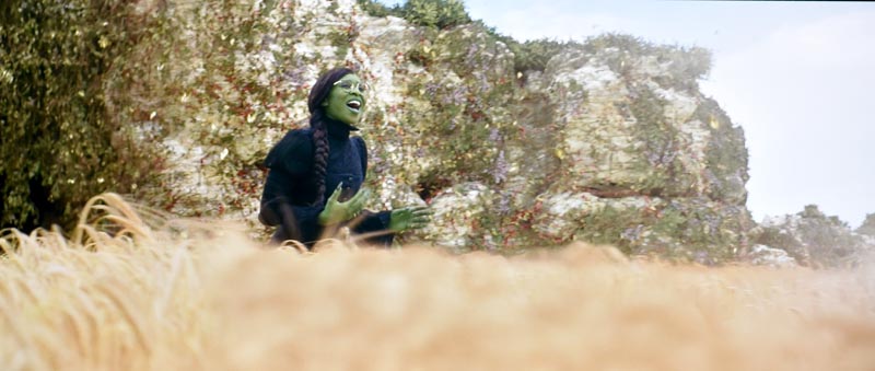 Elphaba singing The Wizard and I in a vast field of barley.