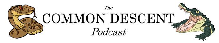Common descent podcast.
