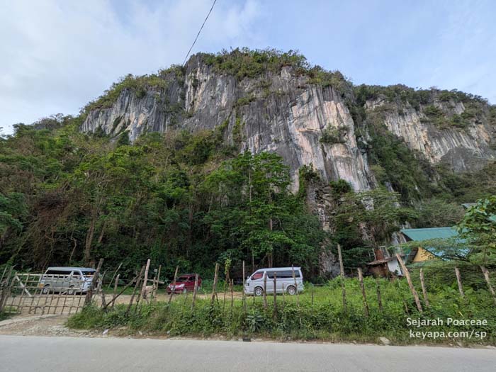 Towering cliffs behind the small town of El Nido in Palawan.