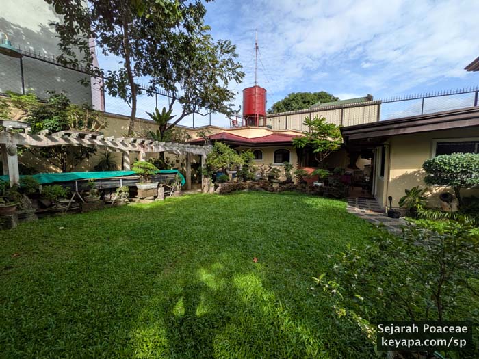 Axonopus compressus lawn in Philippines.