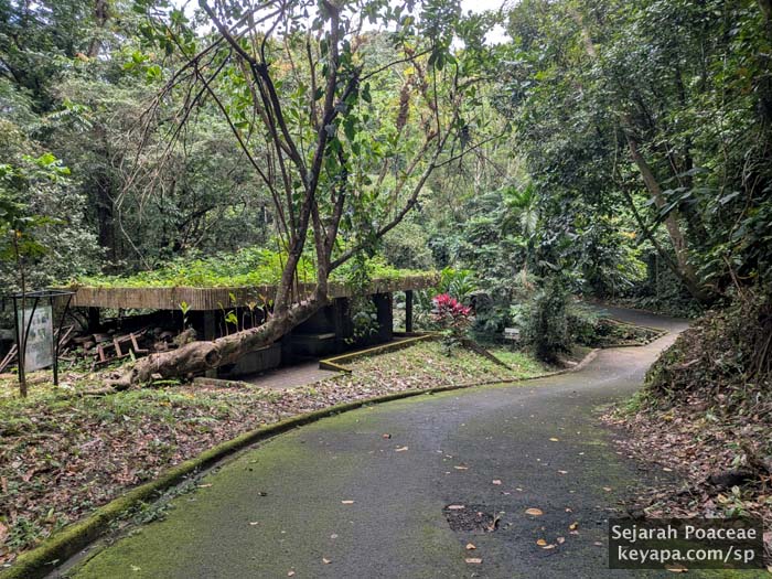 Paved main path leading to exit at the Makiling Botanical Garden in Los Banos, Laguna, Philippines.