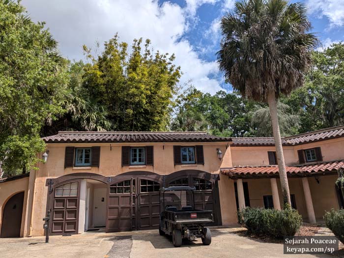 Bambusa chungii bamboo at El Retiro mansion (Bok Tower gardens). View from front of mansion showing how bamboo still towers over mansion.