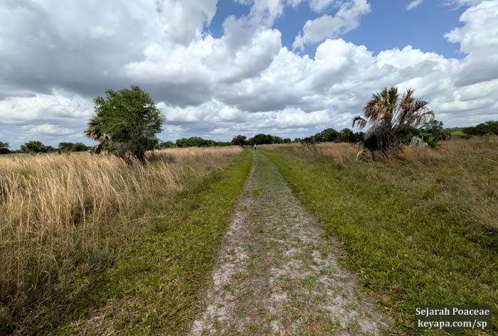 Spring up at Lake Kissimmee State Park