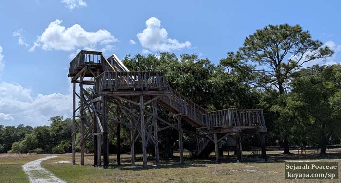 Observation Tower at Lake Kissimmee State Park near Orlando, FL.