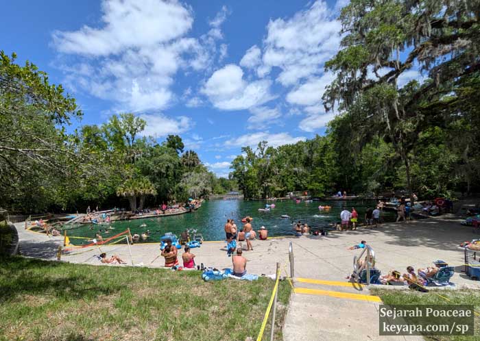 Main springs at Wekiwa Springs State Park.