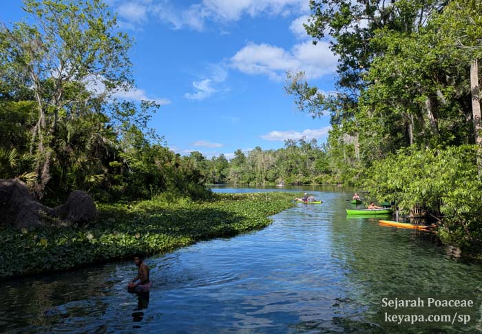Kayaking at Wekiwa Springs State Park. 