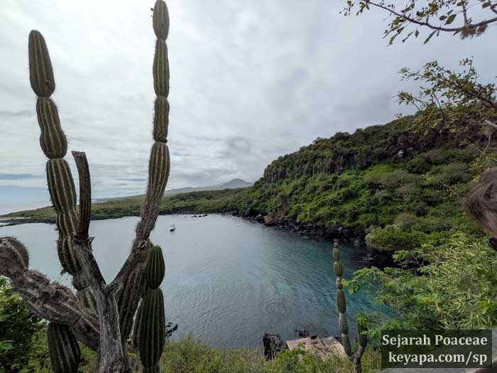 Beautiful scenery greets visitors as they make their way along the trails in Puerto Baquerizo Moreno in San Cristobal in the Galapagos Islands.