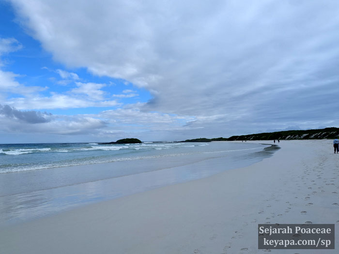 But beyond the town of Puerto Ayora there still are places of breath-taking beauty.