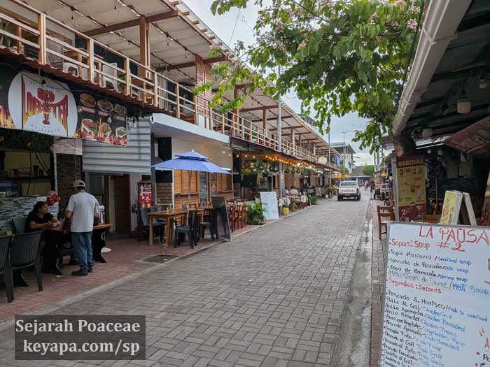 Puerto Ayora had relatively large numbers of businesses catering to the tourist crowd.