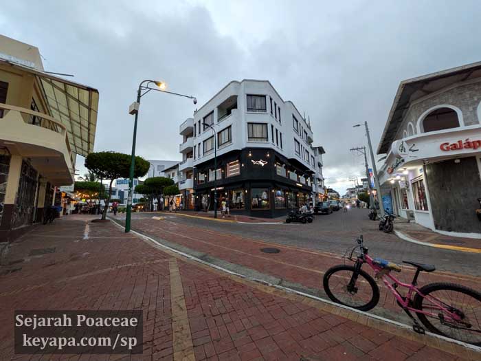 Puerto Ayora had real high rise buildings.