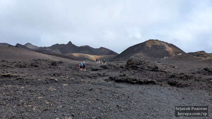 Volcanic landscape on hike to Sierra Negra volcano in Isla Isabela, Galapgos Islands.