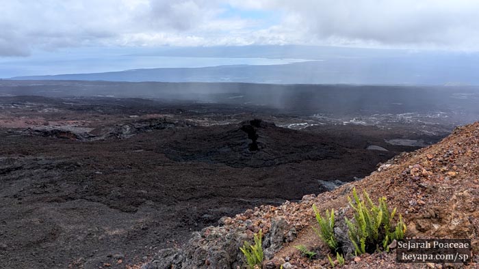 Volcan Chico lava fissures in Isla Isabela, Galapagos Islands.