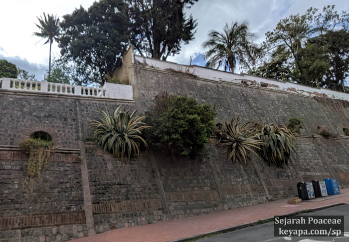 Succulents protruding from old cannon holes in Quito, Ecuador.