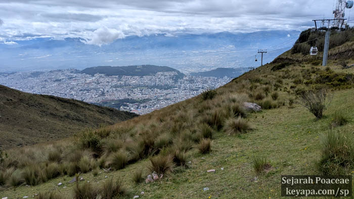 View of Quito from the top station.