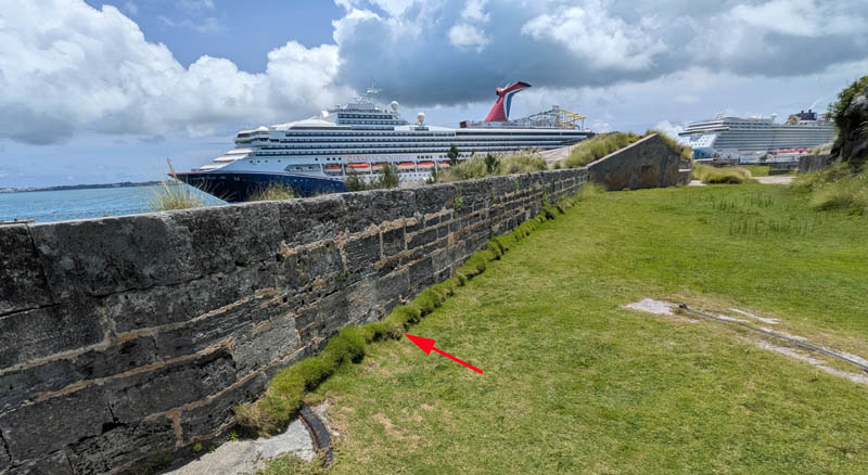 Zoysia matrella inside the Keep, National Museum of Bermuda, in Royal Dockyard, Bermuda.