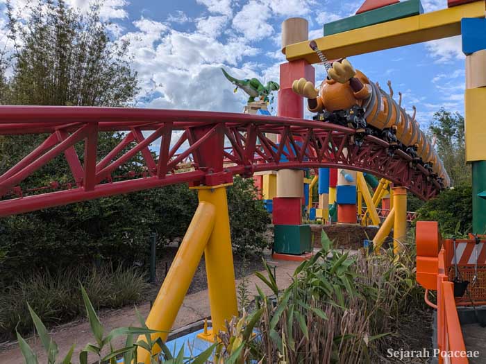 Trimmed Thysanolaena latifolia under Slinky Dog Dash after a Floridian cold spell, in Toy Story land, Hollywood Studios, Disney World.