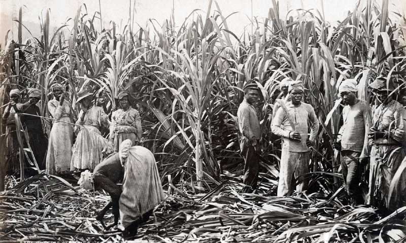 Cane Cutters, Jamaica, 1891, by William Dobson Valentine.