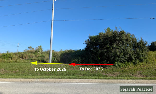 Lateral expansion of cogon grass until October 2026.